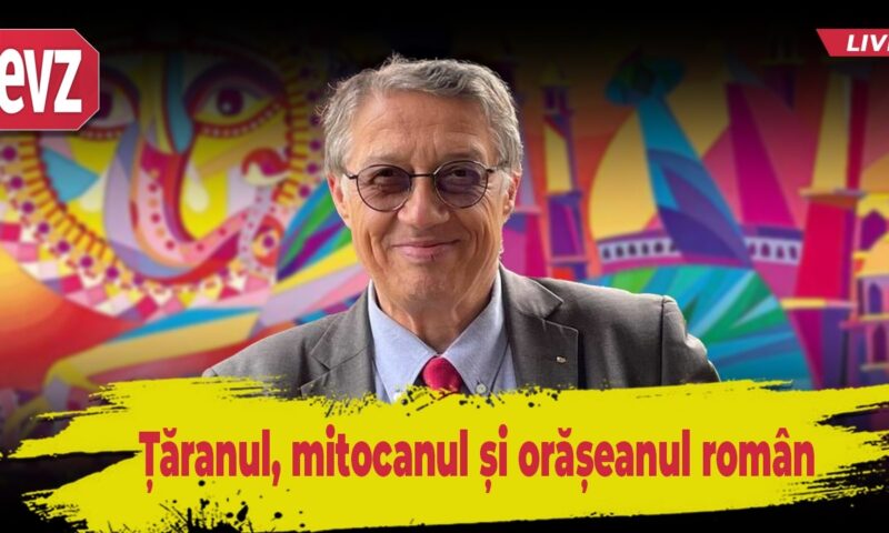 Țăranul, mitocanul și orășeanul român.