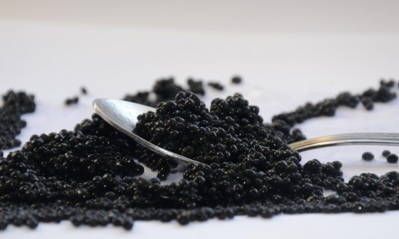 Cât costă primul caviar ecologic din Europa. Este preparat din icre de sturion