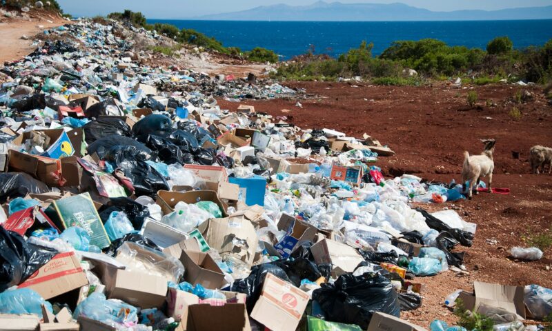 Noi obligații pentru aruncarea deșeurilor. Amenzile pot ajunge până la 40.000 de lei