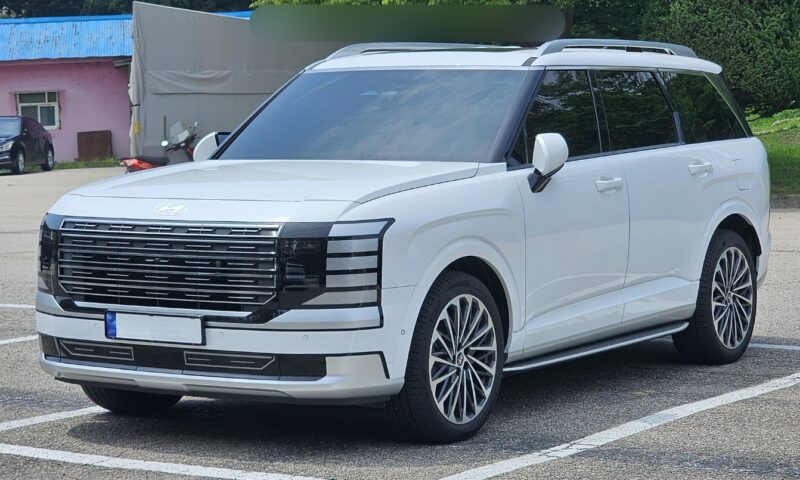 Hyundai suspendă vânzările SUV-urilor Palisade și anunță rechemarea vehiculelor în SUA și Canada după un incident fatal, 