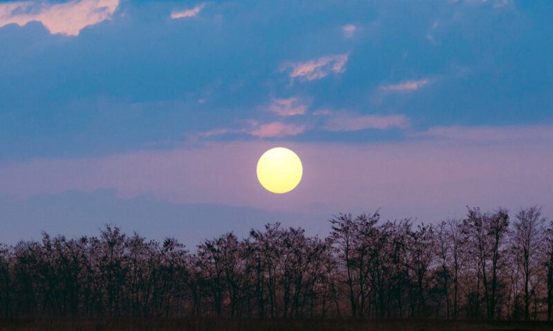 Echinocțiul de primăvară 2026. Când va începe să crească durata zilei