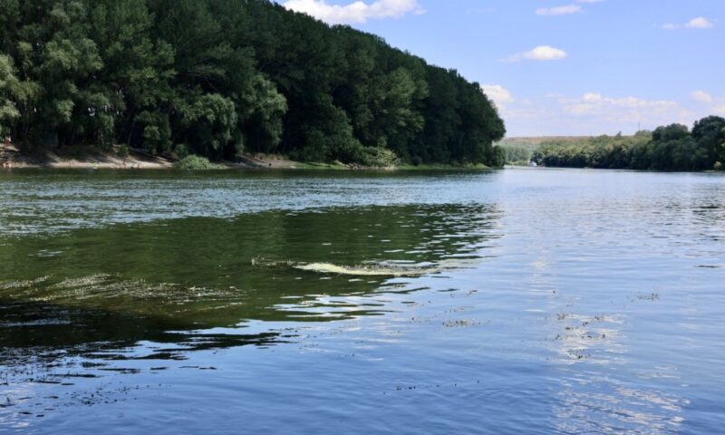 Pete de ulei pe Nistru. Republica Moldova cere explicații Ucrainei, unele localități riscă să rămână fără apă