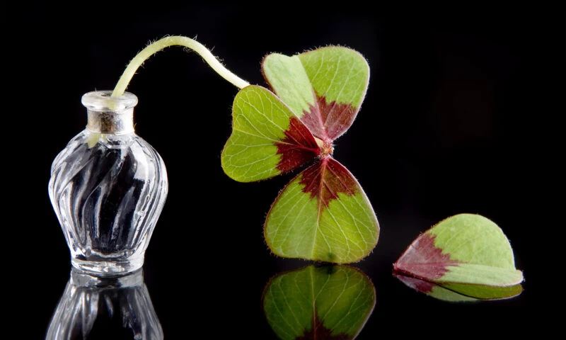 Patru zodii și o zi cu surprize neprogramate. Au parte de provocări în loc de noroc