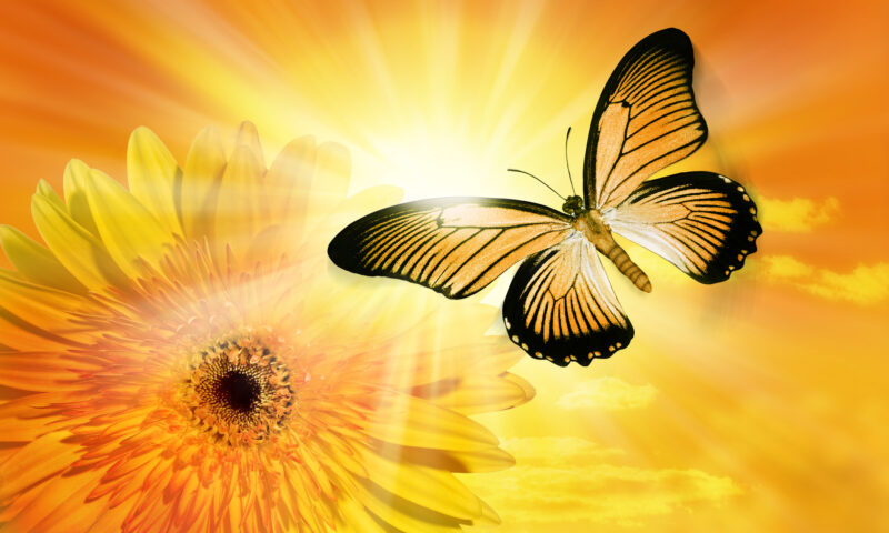 Trei zodii care ar putea avea parte de mai mult noroc în perioada 16–22 martie, potrivit astrologilor