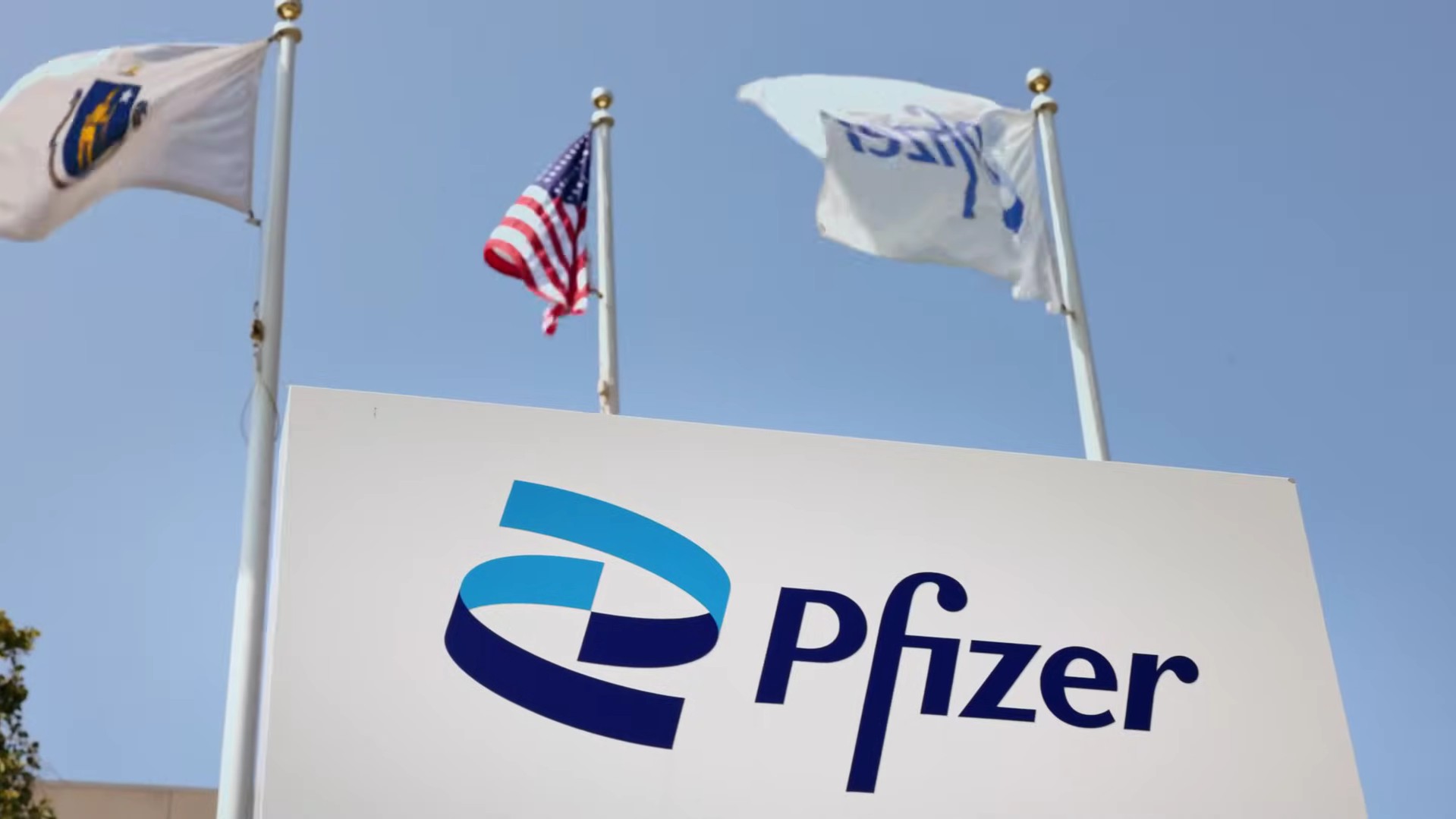 Gheorghe Piperea pune sub semnul întrebării deciziile privind ...